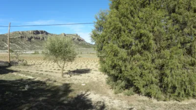 Rustic finca on Calle Casa Puero photo 45
