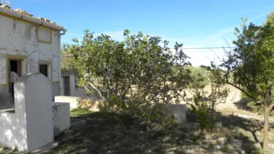 Rustic finca on Calle Casa Puero photo 46