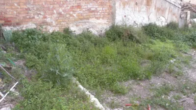 House in Caravaca de la Cruz photo 24