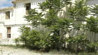 Rustic Finca in Pedanias and the Northwest photo 11