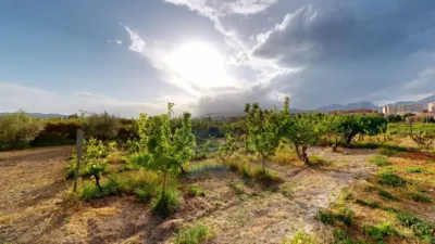 Rustic Finca in Huerta de Caravaca photo 38