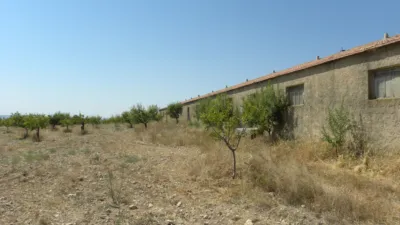 Rustic Farm in Pedanias and North West photo 5