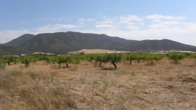 Rustic Farm in Pedanias and North West photo 2