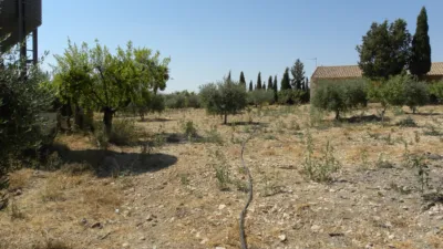 Rustic Farm in Pedanias and North West photo 10