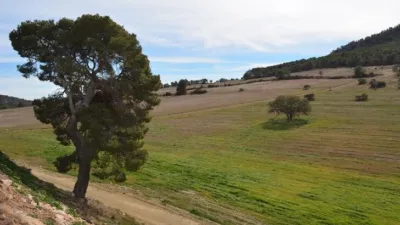 Rustic Finca in Zarcilla de Ramos-Doña Inés photo 31