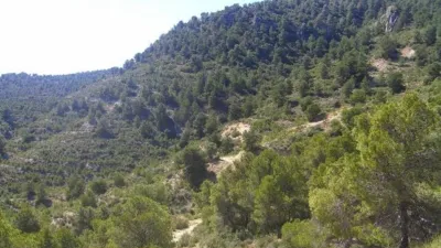 Rustic Finca in Zarcilla de Ramos-Doña Inés photo 18