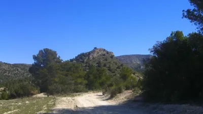 Rustic Finca in Zarcilla de Ramos-Doña Inés photo 12