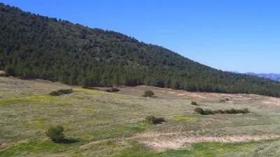 Rustic Finca in Zarcilla de Ramos-Doña Inés photo 8