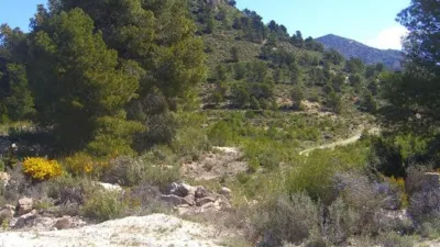 Rustic Finca in Zarcilla de Ramos-Doña Inés photo 26
