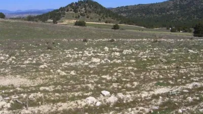 Rustic Finca in Zarcilla de Ramos-Doña Inés photo 14