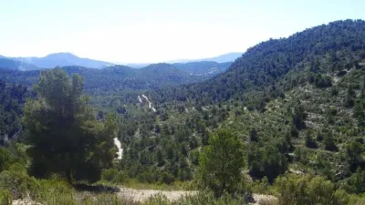 Rustic Finca in Zarcilla de Ramos-Doña Inés photo 17
