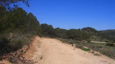 Rustic Finca in Zarcilla de Ramos-Doña Inés photo 15