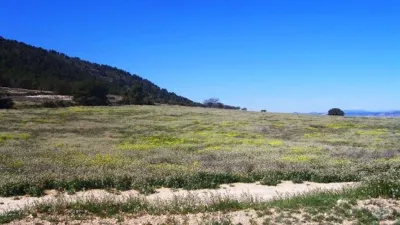 Rustic Finca in Zarcilla de Ramos-Doña Inés photo 29