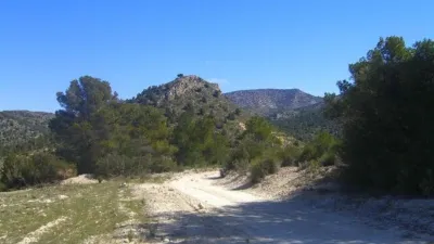 Rustic Finca in Zarcilla de Ramos-Doña Inés photo 16
