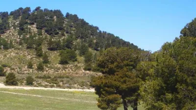 Rustic Finca in Zarcilla de Ramos-Doña Inés photo 30