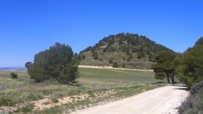 Rustic Finca in Zarcilla de Ramos-Doña Inés photo 28