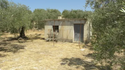 Rustic farm on Camino Picardias photo 4