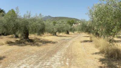 Rustic farm on Camino Picardias photo 5