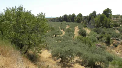 Rustic farm on Camino Picardias photo 12