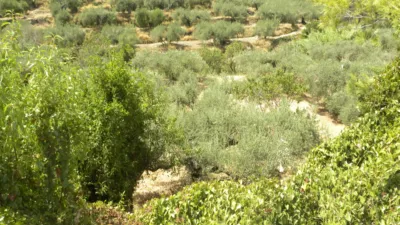 Rustic farm on Camino Picardias photo 10