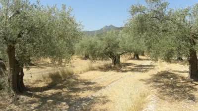 Rustic farm on Camino Picardias photo 3