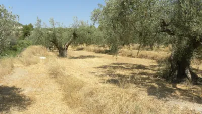 Rustic farm on Camino Picardias photo 6