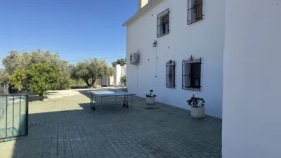 Rustic Finca in Moratalla photo 57