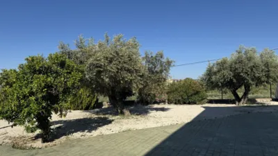 Rustic Finca in Moratalla photo 40