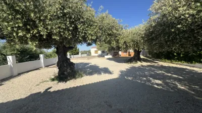 Rustic Finca in Moratalla photo 79