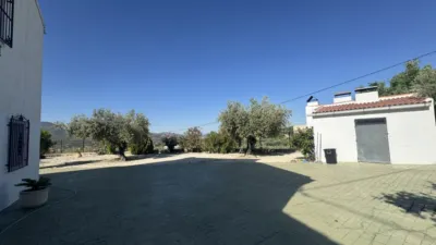 Rustic Finca in Moratalla photo 56
