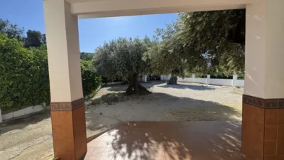 Rustic Finca in Moratalla photo 19