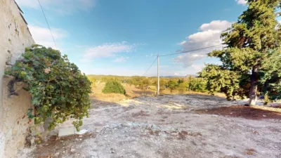 Rustic Finca in Pedanias and North West photo 32