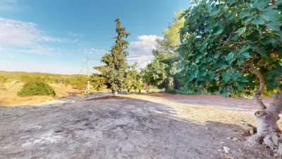 Rustic Finca in Pedanias and North West photo 3