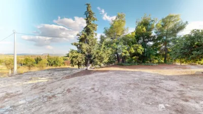 Rustic Finca in Pedanias and North West photo 31