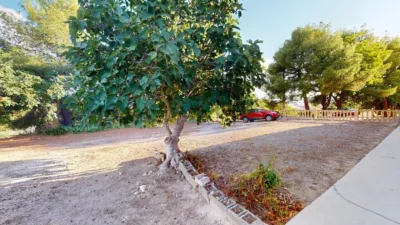 Rustic Finca in Pedanias and North West photo 2