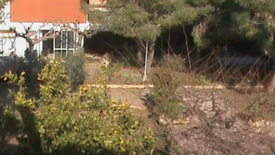 House in Vallmoll Paradís photo 15