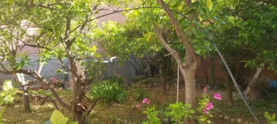 Casa en Alcover photo 14