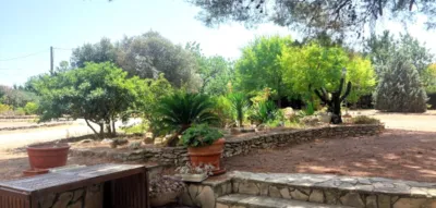 Detached house in Plana D'Emberga photo 44