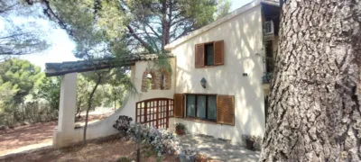 Detached house in Plana D'Emberga photo 47
