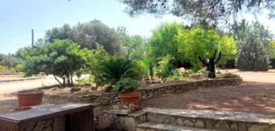 Detached house in Plana D'Emberga photo 3