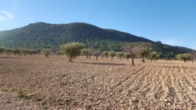 Rustic farm in Sur Jumilla photo 2