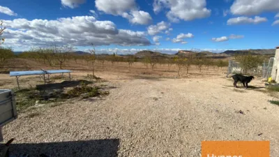 Chalet in Jumilla photo 3