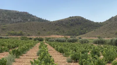 Rustic Finca in Jumilla photo 2