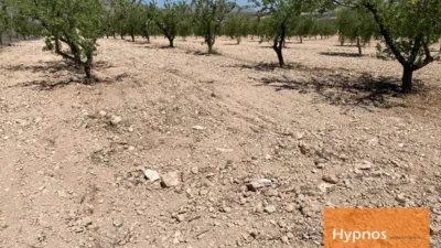 Chalet in Jumilla photo 10