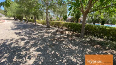 Chalet in Jumilla photo 12