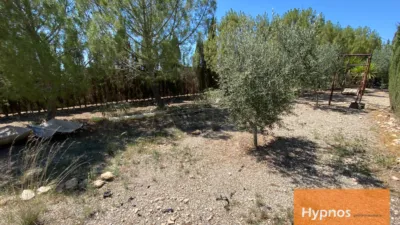 Chalet in Jumilla photo 18