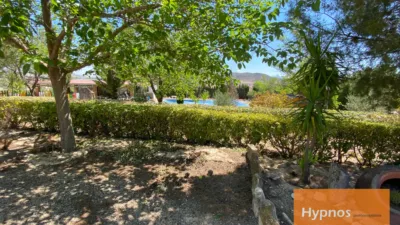 Chalet in Jumilla photo 4