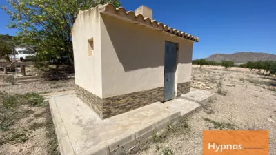 Chalet in Jumilla photo 50