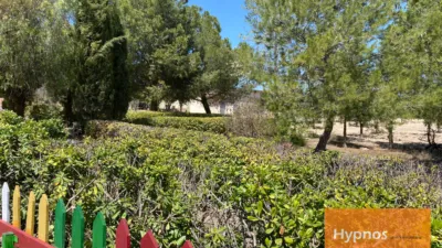 Chalet in Jumilla photo 9