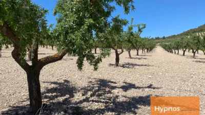 Rustic Finca in Fuente del Pino photo 8